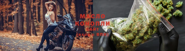 спиды Бородино