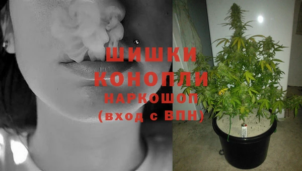 спиды Бородино