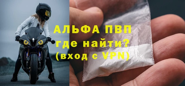 спиды Бородино