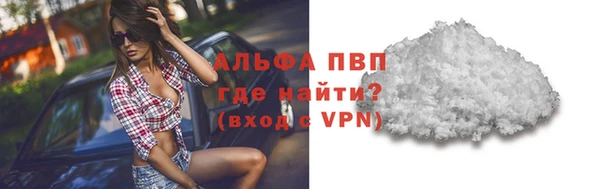 спиды Бородино