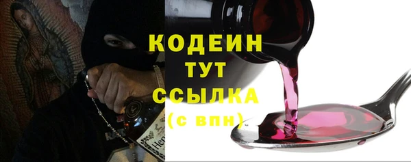 спиды Бородино