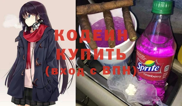 ПСИЛОЦИБИНОВЫЕ ГРИБЫ Богданович