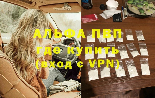 спиды Бородино