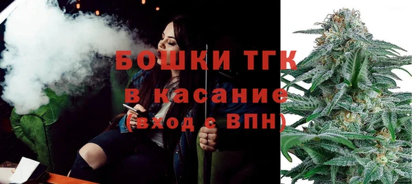 спиды Бородино