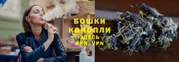 гидропоника Бугульма